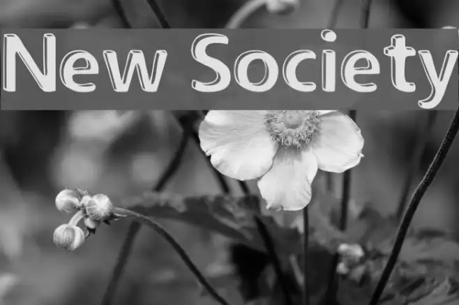 New Society Example 1