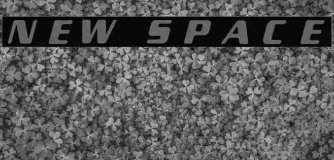 New Space Example 1