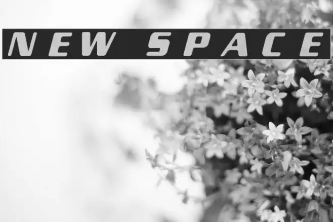 New Space Example 2