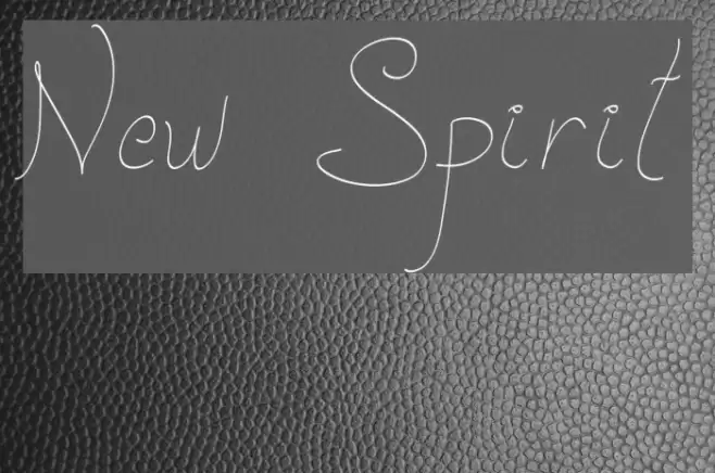 New Spirit Font examples