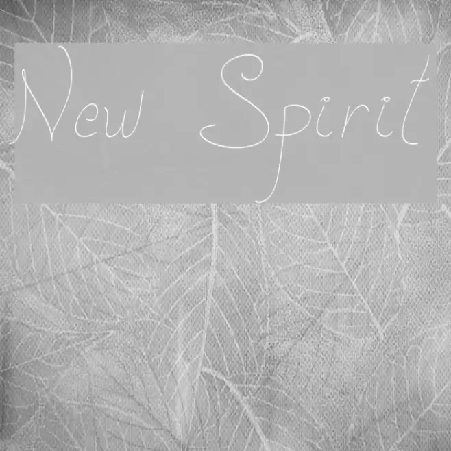 New Spirit Font examples
