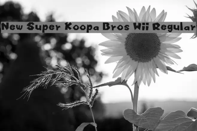 New Super Koopa Bros Wii Regular フォント examples