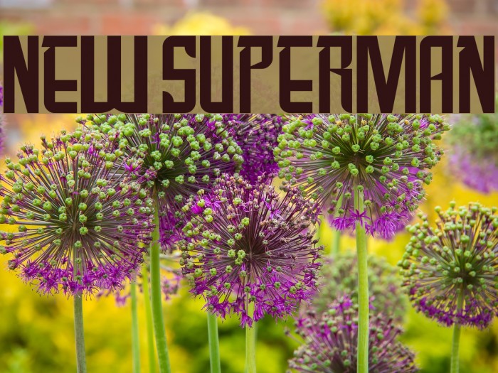 New SuperMan Example 1