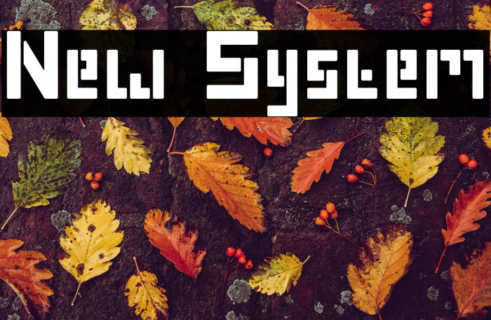 New System Example 1