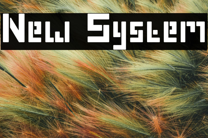 New System Example 2