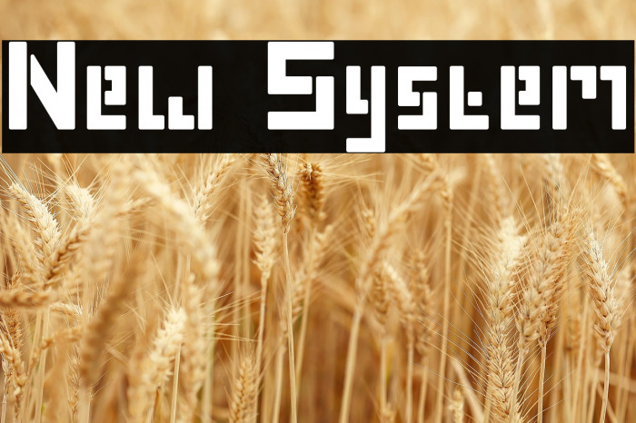 New System Example 3