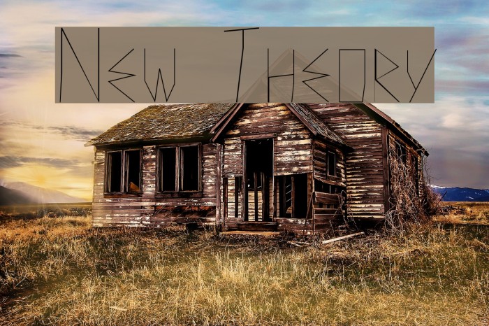 New Theory Example 1