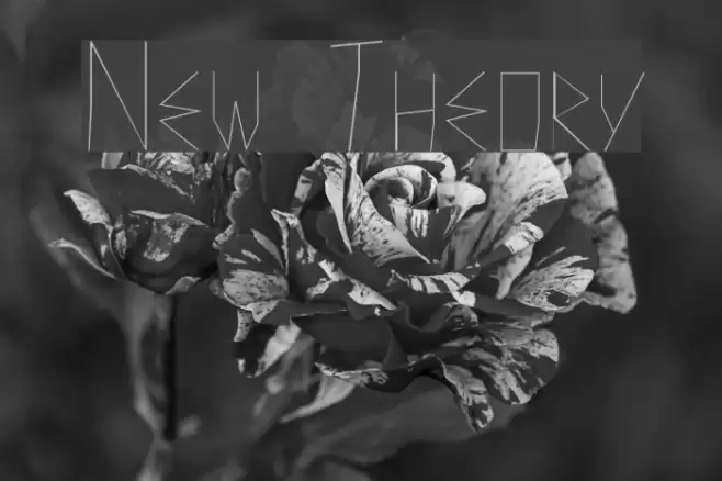 New Theory Font examples