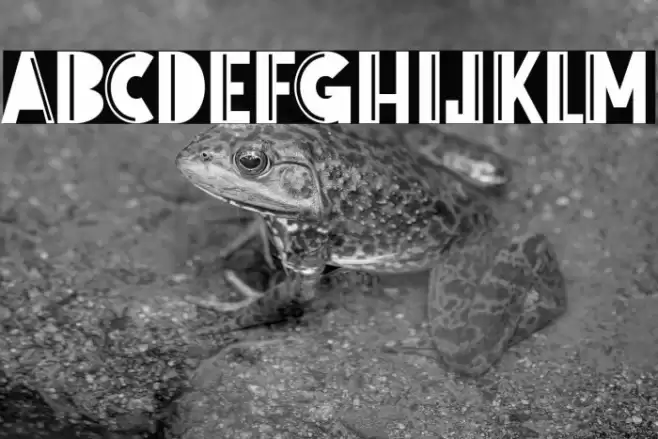 New Tour Font examples