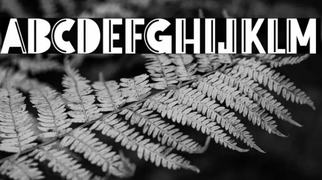 New Tour Font examples