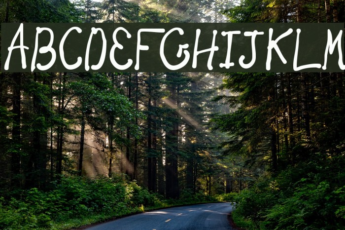 New Toy Font examples
