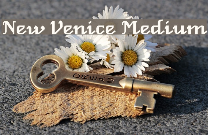 New Venice Medium Font examples