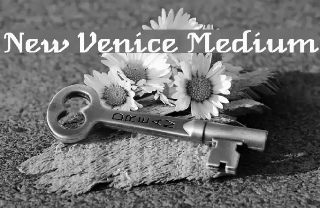 New Venice Medium Fonte examples