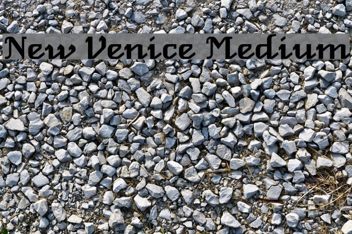 New Venice Medium Font examples