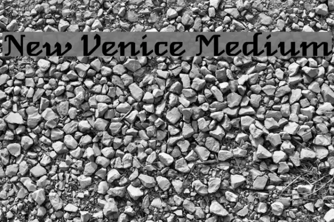 New Venice Medium Fonte examples