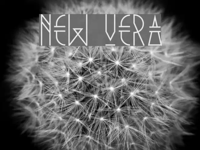 New Vera Font examples