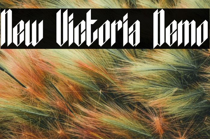 New Victoria Demo Example 2