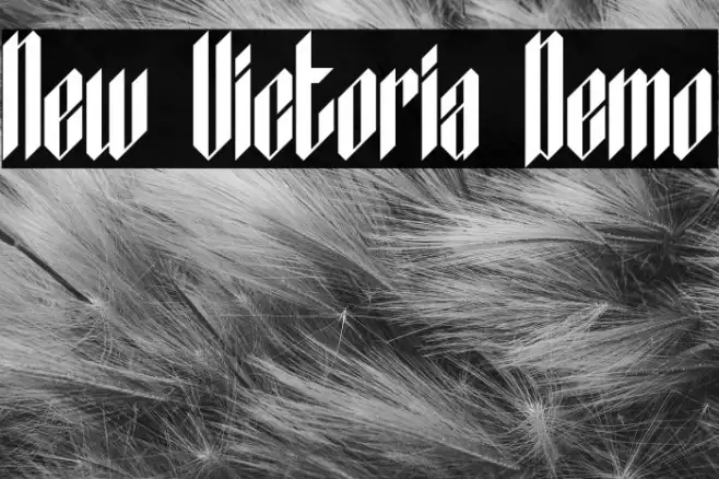 New Victoria Demo Example 2