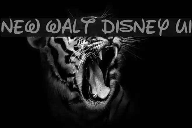 New Walt Disney UI フォント examples