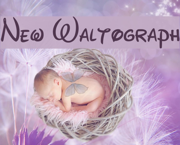 New Waltograph Font examples