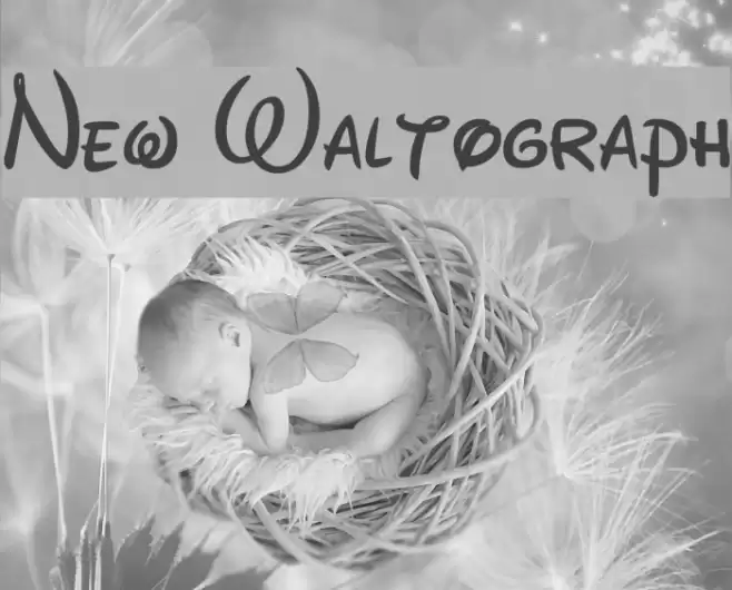 New Waltograph Font examples