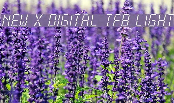 New X Digital tfb Light Font examples