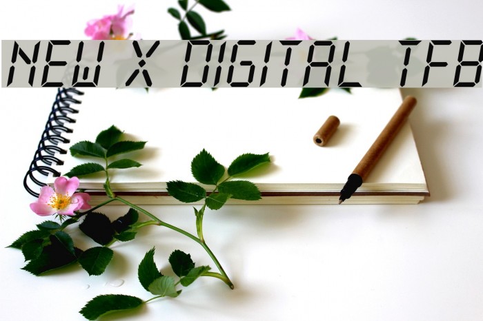 New X Digital tfb Font examples