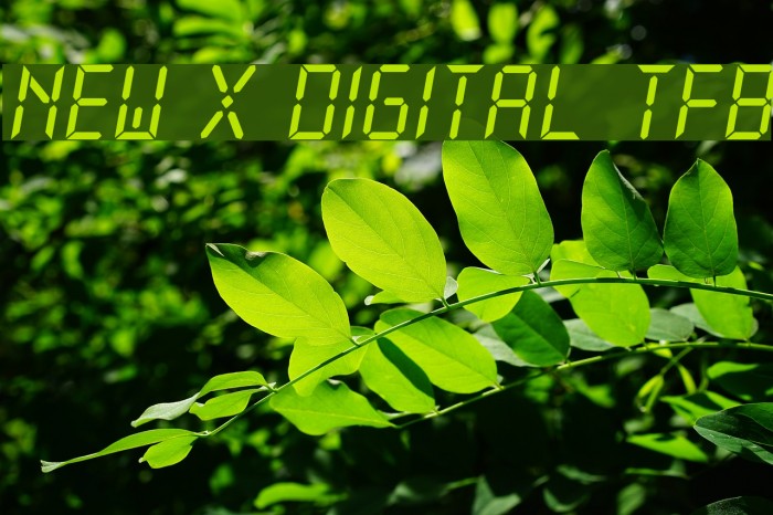 New X Digital tfb Font examples