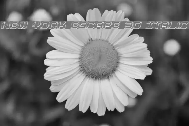New York Escape 3D Italic Font examples