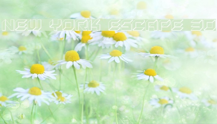 New York Escape 3D Example 1