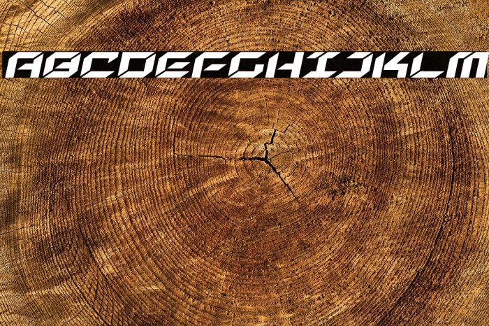 New York Escape Expanded Italic Example 1