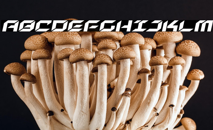 New York Escape Expanded Italic Example 2