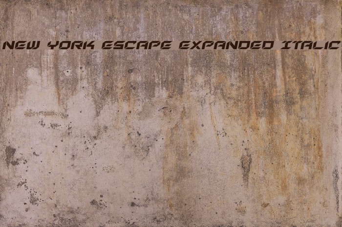 New York Escape Expanded Italic Font examples