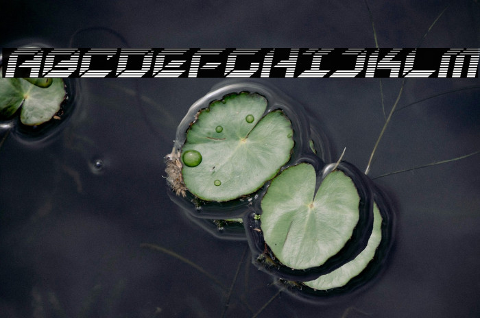 New York Escape Gradient Italic Example 1