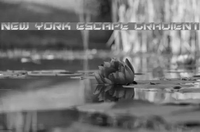 New York Escape Gradient Font examples