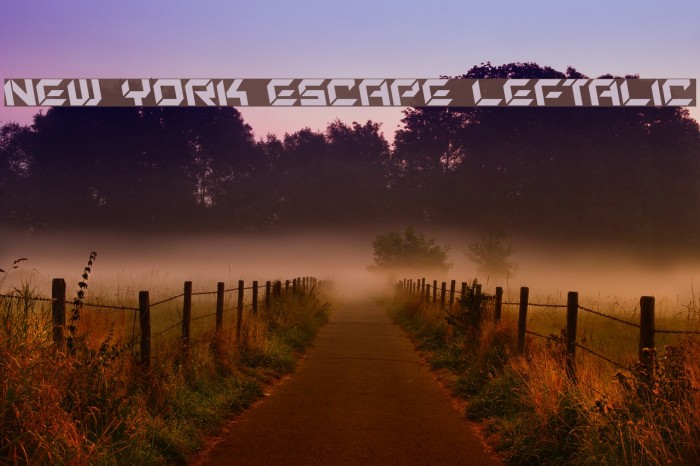 New York Escape Leftalic Font examples