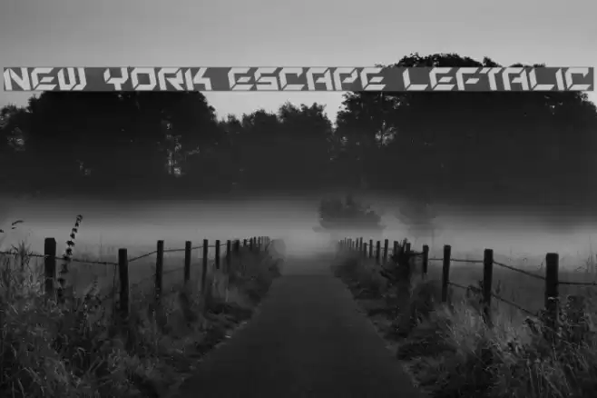 New York Escape Leftalic Font examples