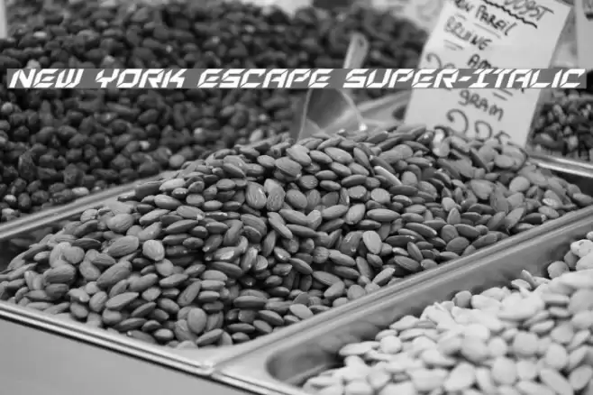 New York Escape Super-Italic Font examples