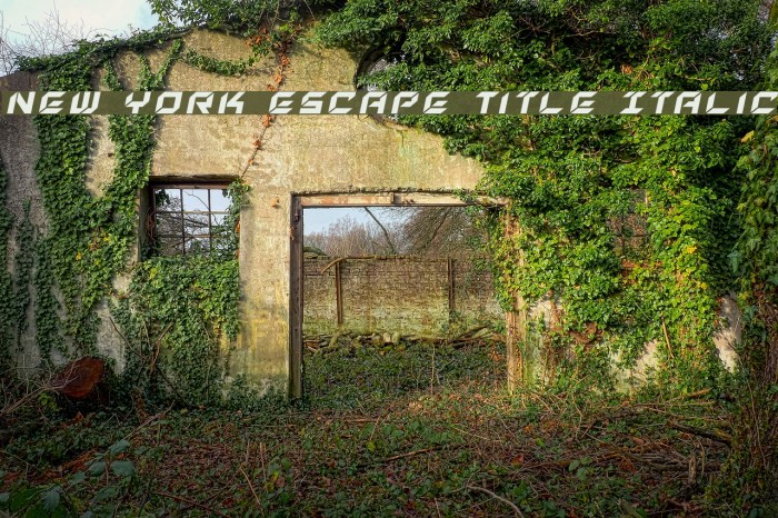 New York Escape Title Italic Example 1