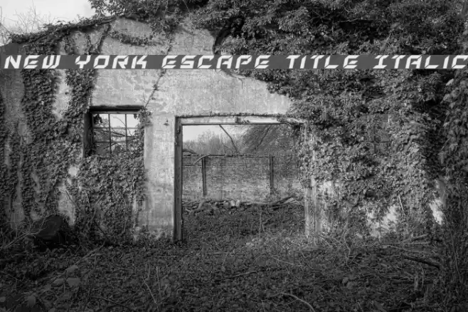 New York Escape Title Italic Font examples