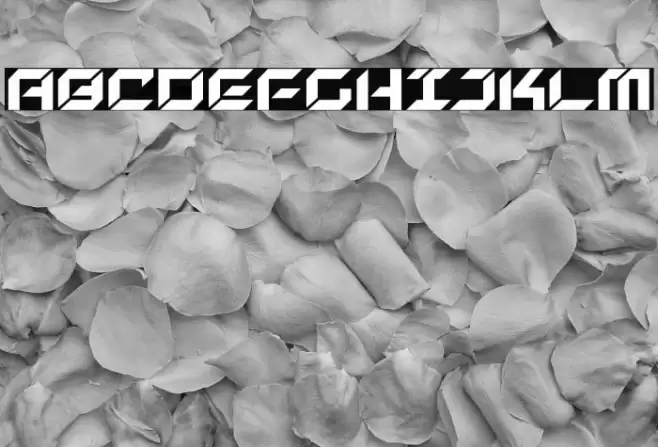 New York Escape Font examples