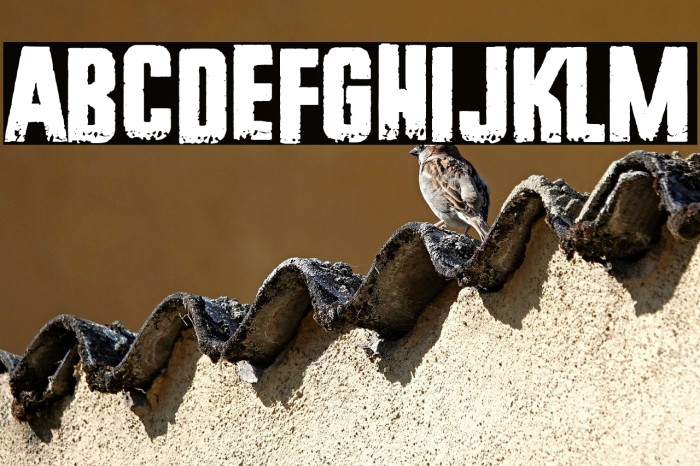 New York Hardcore Example 1