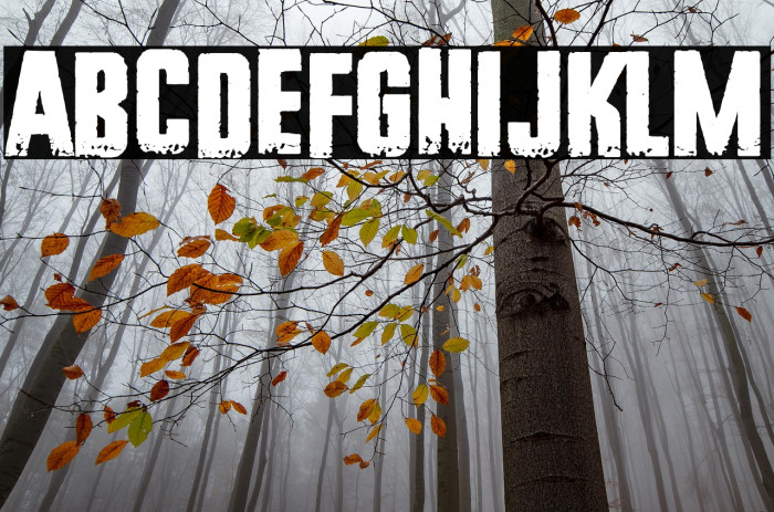 New York Hardcore Example 2