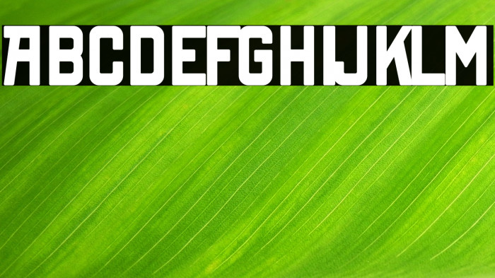 New York Line Example 1