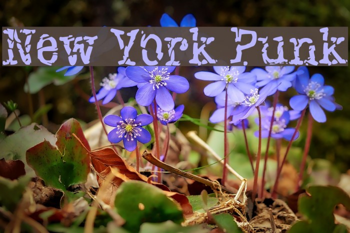 New York Punk Font examples