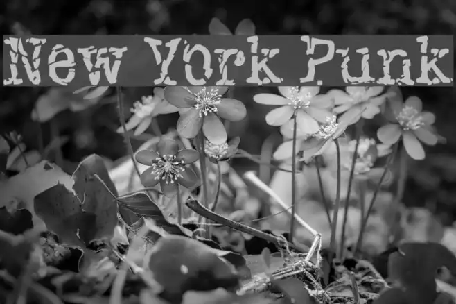 New York Punk Example 2