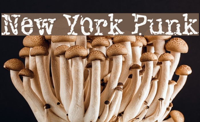 New York Punk Font examples