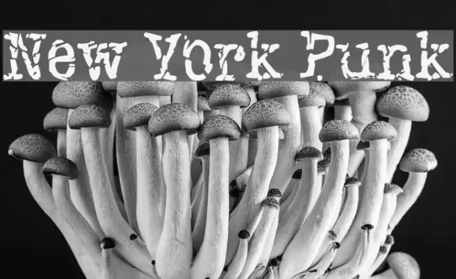 New York Punk Example 3