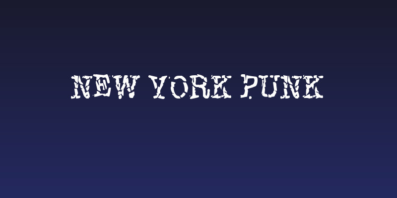 New York Punk Social Header