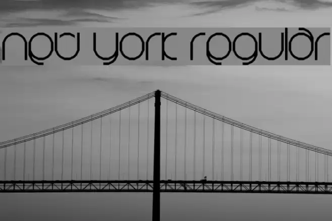 New York Regular Font examples
